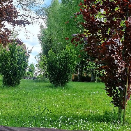 Agroturystyka Pod Debem Jonkowo Exterior foto